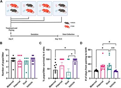 Effect of TCDD exposure in adult female and male mice on the expression of miRNA in the ovaries and testes and associated reproductive functions
